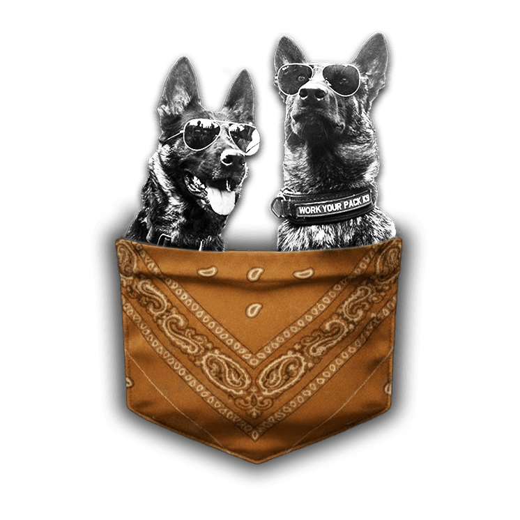 Pocket K9 Coach logo